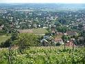 Hoflößnitz (68)